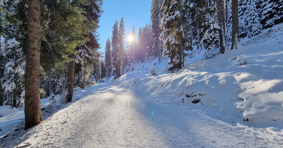 West Coast Paracord Corda in cotone naturale ritorto - corda